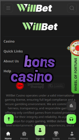 Bons Casino 入金方法 - Japanese Casino Deposit Methods-casinogringos.casinoorder.vip